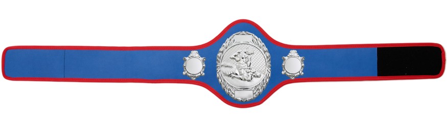 MMA CHAMPIONSHIP BELT-PRO286/S/MMAS-10+ COLOURS